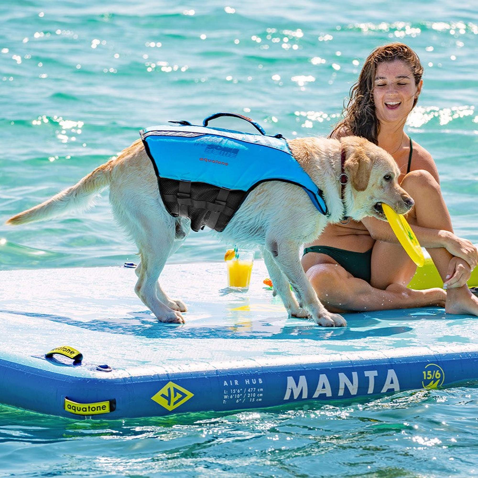 Aquatone PAWSOME PET Safety Vest