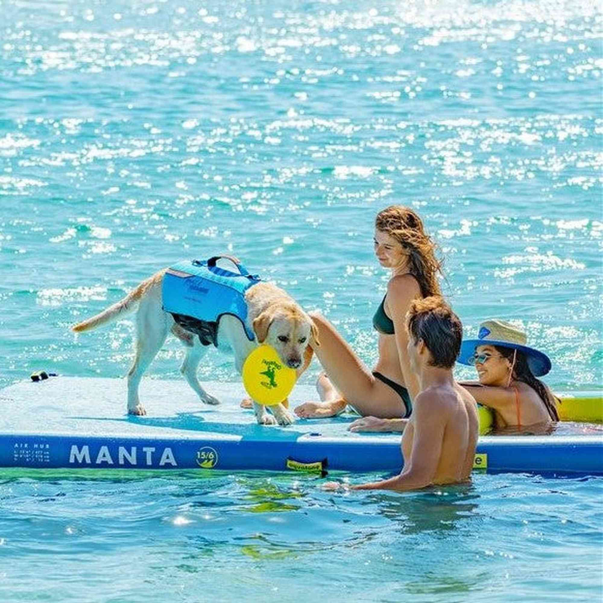 Aquatone PAWSOME PET Safety Vest